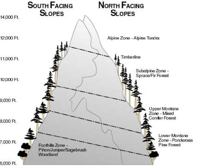 A Diagram of Biological Zones in the San Juan Mountains
