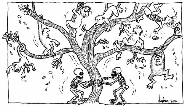 cartoon by Bob Humphrey (human family tree)
